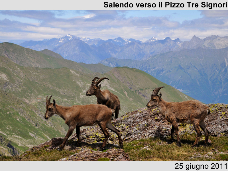Verso il Pizzo Tre Signori