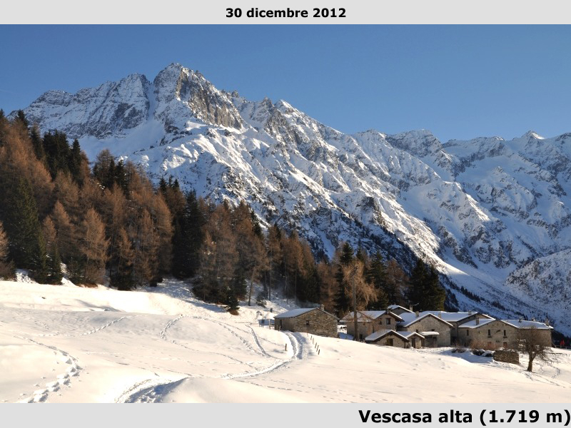 Vescasa alta