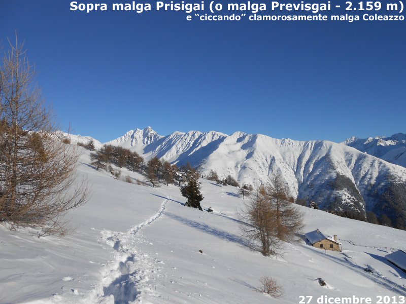 Malga Prisigai