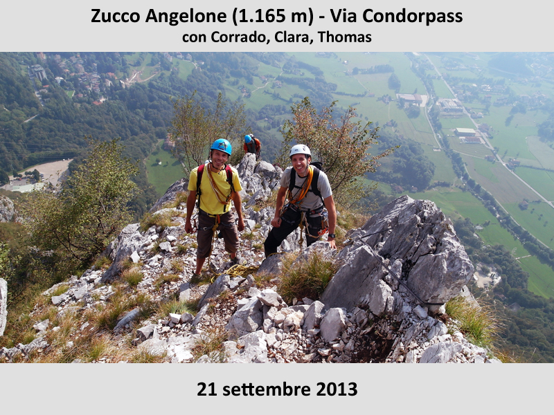 Zucco Angelone