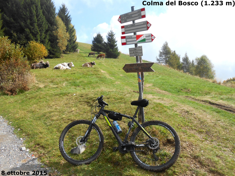 Colma del Bosco