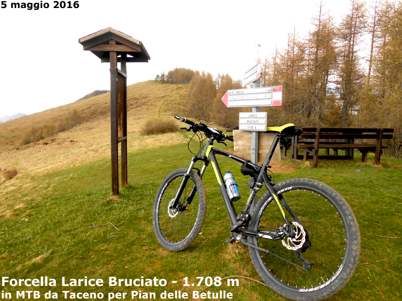 Forcella Larice Bruciato