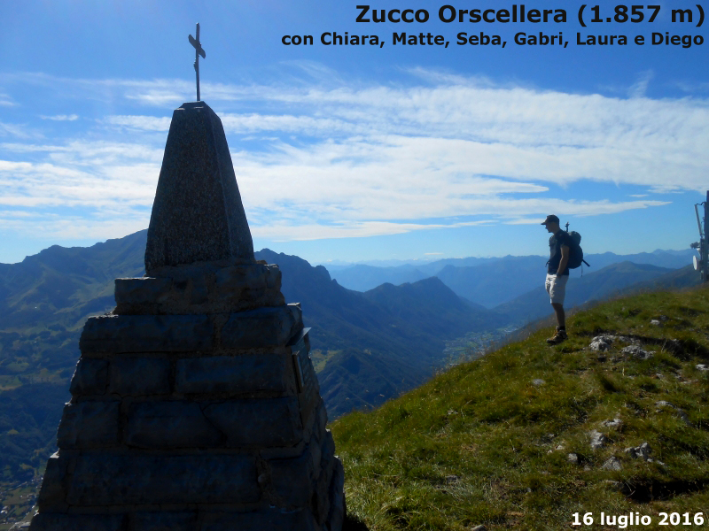 Zucco Orscellera