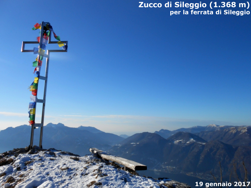 Zucco di Sileggio