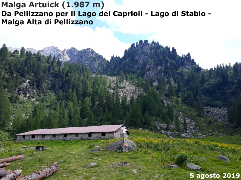 Malga Artuick
