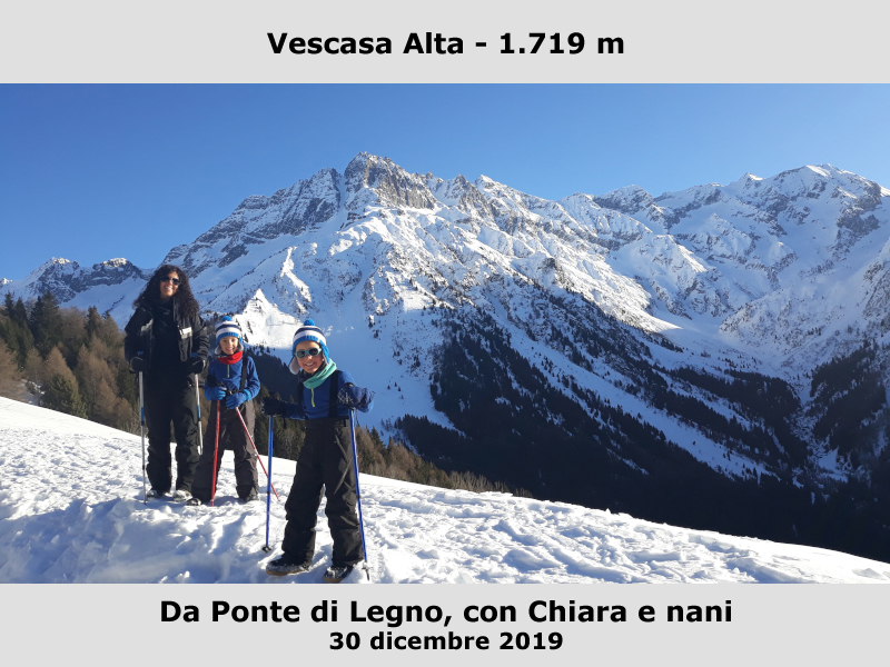 Vescasa Alta