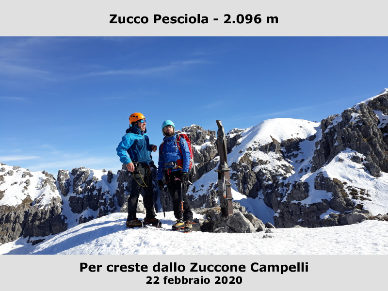 Zucco Pesciola