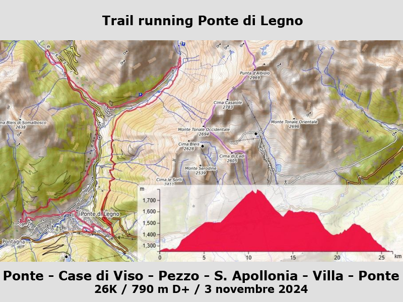 Trail running Ponte di Legno