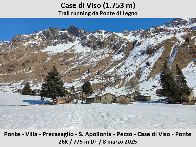 Trail running Ponte di Legno