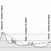 Gita affrontata in bicicletta da Tirano fino a Sondrio.<br />Sono stati percorsi 30 km con tratti aventi discreti dislivelli.<br />La soddisfazione più grande: al termine della salita prima di arrivare a Triacca, mi fermo e mi giro e vedo Baleng e Adele che spingono la bici mentre la mia Carotina, piano piano, con la sua nuova mountain bike e i suoi 70 cm di gamba, mi raggiunge ansimante ma inesorabile senza appoggiare il piede a terra.<br />Mitica!!<br /><br />Lungo il percorso sono state visitate le seguenti 7 cantine vitivinicole:<br />Conti Sertoli Salis<br />Rumo<br />Fattoria San Siro<br />Triacca<br />F.lli Bettini<br />Nino Negri<br />Pietro Nera