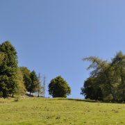 DSC_0014