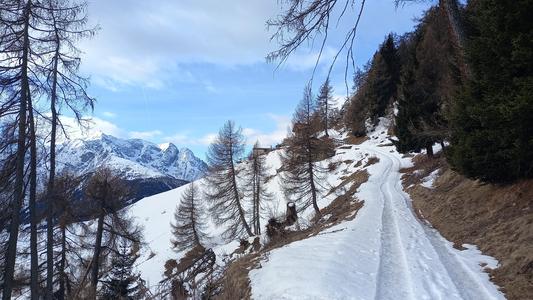 Nei pressi di Prebalduino (prime case a NE)