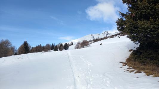 Fuori dal bosco con il Coleazzo sullo sfondo
